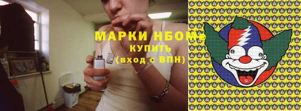 ПСИЛОЦИБИНОВЫЕ ГРИБЫ Арсеньев