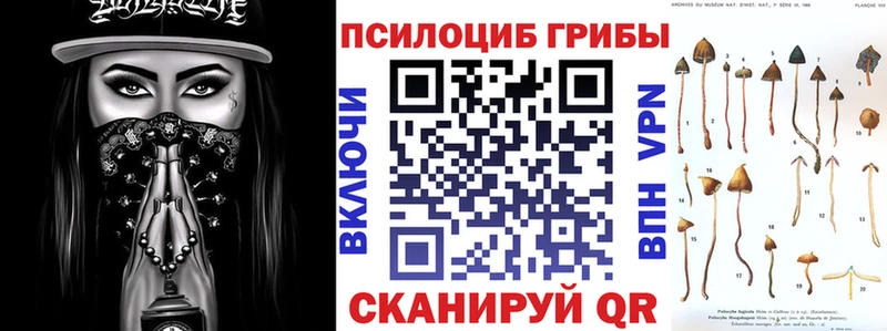 купить  сайты  Пугачёв  Галлюциногенные грибы Cubensis 